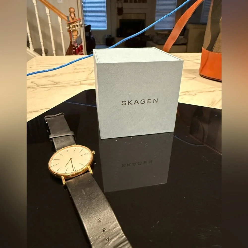 Skagen Signatur SKW6430, Black and Gold with White Face